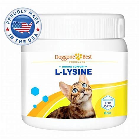 What does lysine do for a cat? - DIY Seattle