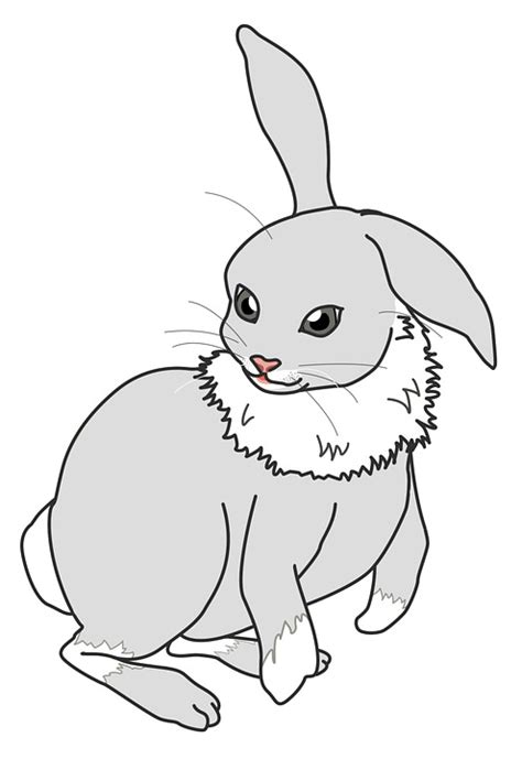 Free Illustration Rabbit Cute Animal Free Image On Pixabay 551988