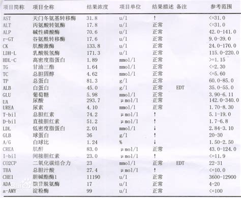 肝功能化验单图片 百度百科