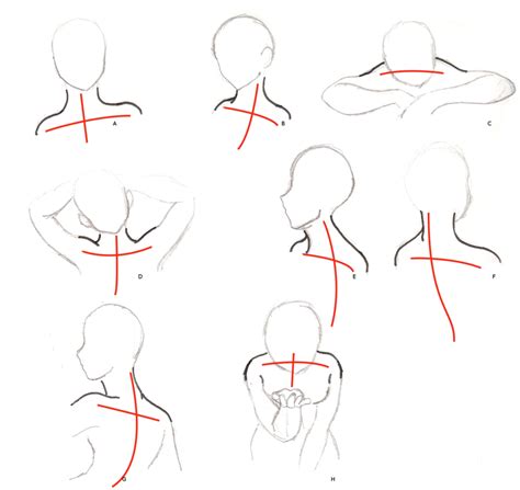 Neck And Shoulders Tutorial By Nstone53 On DeviantArt Body Drawing