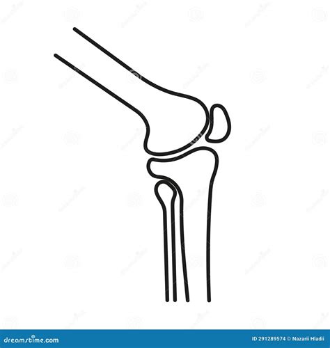 Knee Joint Icon In Linear Style Vector Stock Vector Illustration Of