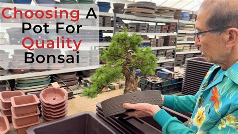 Choosing Pots For Quality Bonsai Youtube