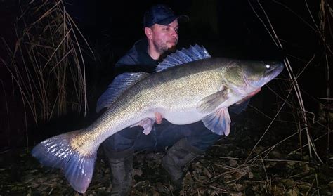 Giga candáti z řeky Labe rybář chytil 3 monstra během několika