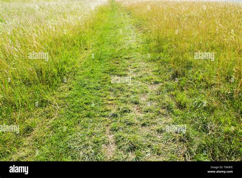 field  road stock photo alamy