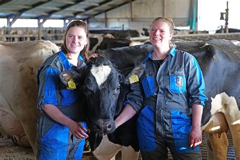 In Stappen Optimaal Presteren Met Een Melkrobot Boerderij