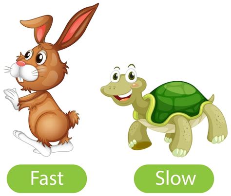 Fast And Slow Animals