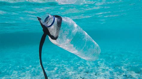 Il mare è una zuppa di plastica tutti i problemi dellinquinamento