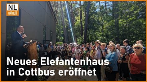 Tierpark Cottbus Neues Elefantenhaus feierlich eröffnet Don Chung