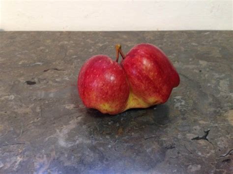 Mira Como Estan Esas Frutas Y Verduras Deformes Papa Im Genes Taringa