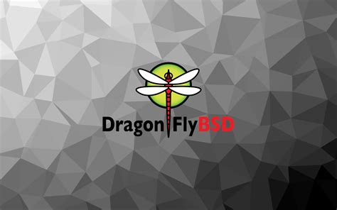 DragonFly BSD 6.4.0 Torrents