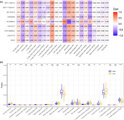 Epithelial Mesenchymal Transition Related Genes In Coronary Artery Disease