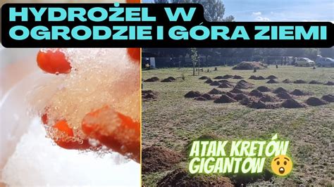 Hydro El Agro El W Ogrodzie Pozbywamy Si G Ry Ziemi Na Dzia Ce