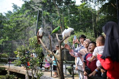 Rekomendasi Wisata Kebun Binatang Di Jawa Barat