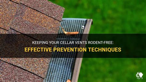 Keeping Your Cellar Vents Rodent Free Effective Prevention Techniques