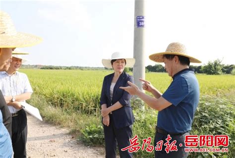 君山区：雷欣调研君山生态渔业集团