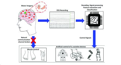 Generic Conceptfunction Diagram Of Bci Controlled Assistive Ll Download Scientific Diagram