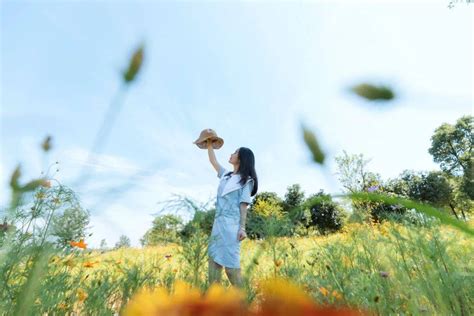 位置不同，不必解释（深度好文）青花瓷层次国学