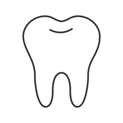 Healthy Tooth Linear Icon Thin Line Illustration Contour Symbol