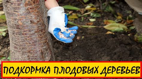ПОДКОРМКА ПЛОДОВЫХ ДЕРЕВЬЕВ ВЕСНОЙ #мочевина #карбамид #удобрения ...