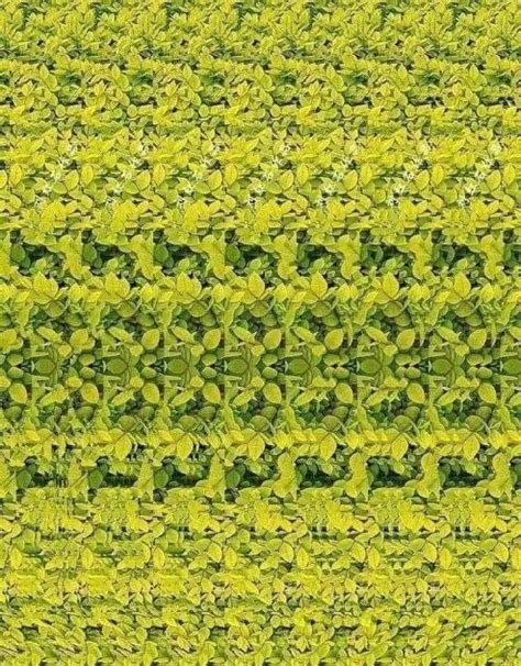 Estereograma Magic Eye Pictures Cool Optical Illusions Eye Illusions