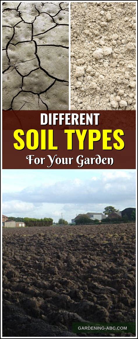 Different-types-of-soil - Gardening ABC