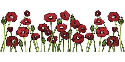 Poppy Field Clip Art