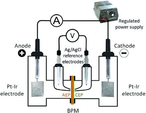 Schematic Of The Electrochemical Cell Setup Used For The Water