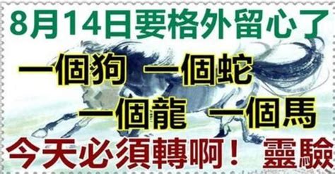 8月14日要格外留心了，一個狗，一個蛇，一個龍，一個馬必轉 Peekme