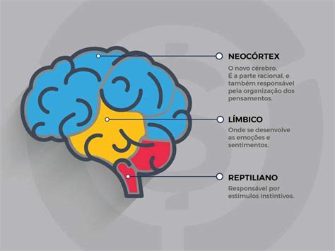 O que é neuromarketing e como isso pode te ajudar a vender mais