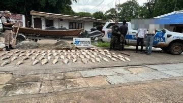 Operativo Pasión de Sábalo Prefectura secuestró 300 kilos de