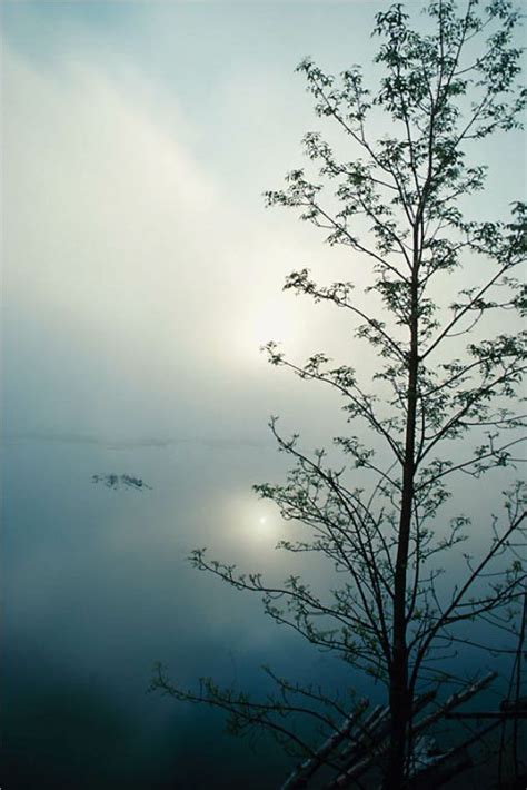 A Foggy Morning At Gatineau Park