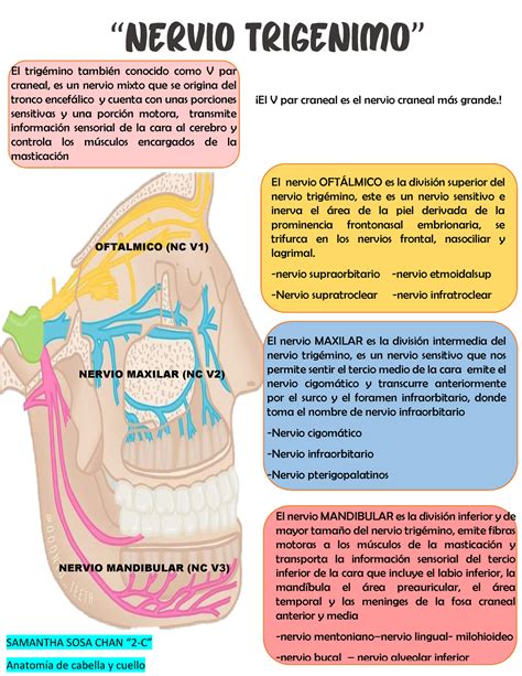 Sosa Samantha Infografia