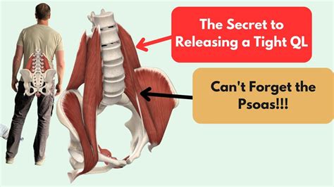 The Secret To LONG TERM Relief Of A Tight QL Stop Stretching And