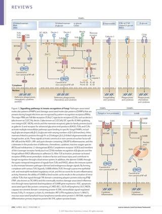 Immunity To Fungal Infections PDF