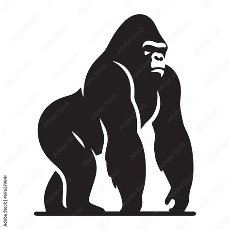 Gorilla Silhouette Wildlife Conservation Symbolism Gorilla