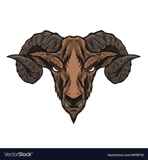 Goat head Royalty Free Vector Image - VectorStock