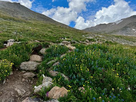 Colorado 14er: Mount Massive (14,427') — Mountain Peak Fitness