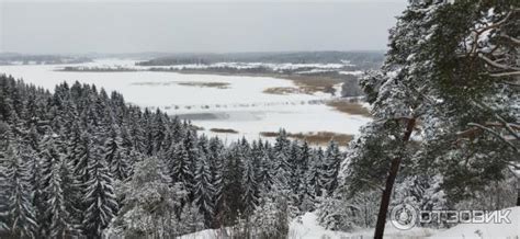 Отзыв о Городище Паасо (Россия, Карелия) | Городище Паасо зимой