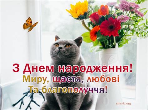 Привітання з днем народження з котом