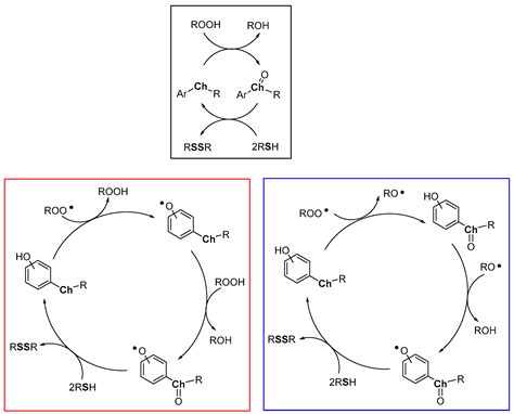 Antioxidants Free Full Text Chain Breaking Antioxidant Activity Of