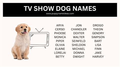 Dog Names From Tv Shows Puppy Name Ideas