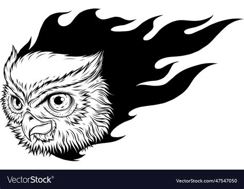 Of Outline Owl Head Design Royalty Free Vector Image