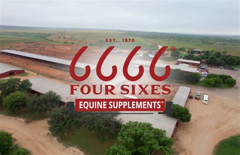 6666's Equine Supplements – 6666 Equine Supplements