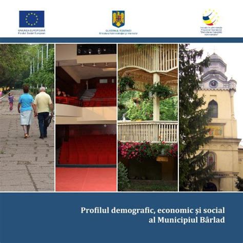 Profilul Socio Economic Si Demografic Al Municipiului Barladpdf