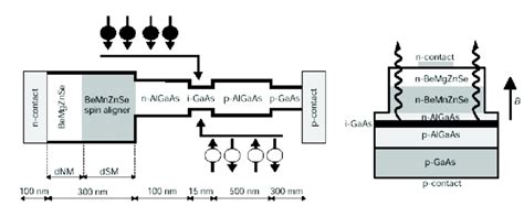 Sample Structure And Band Offsets Of The Gaas Spin Injection