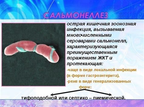 САЛЬМОНЕЛЛЕЗЫ Тульский государственный университет
