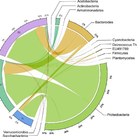 The Bacterial Community Of 16s Rrna Genes Amplicon Sequencing At Phyla