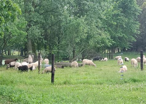 New statistical model throws weight behind sustainable farming