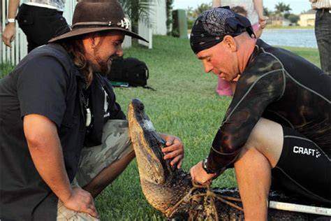 Gator Boys Photo Gallery Gator Boys Animal Planet