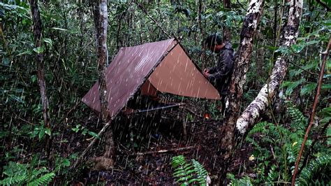 2 Hari Solo Camping Di Hutan Survival Tarp Shelter Hujan Di Pagi Hari